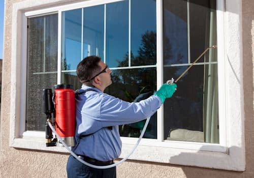 Licensed pest control technician inspecting a home